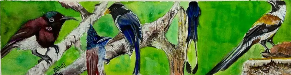 Mystic Chirps — watercolour artwork