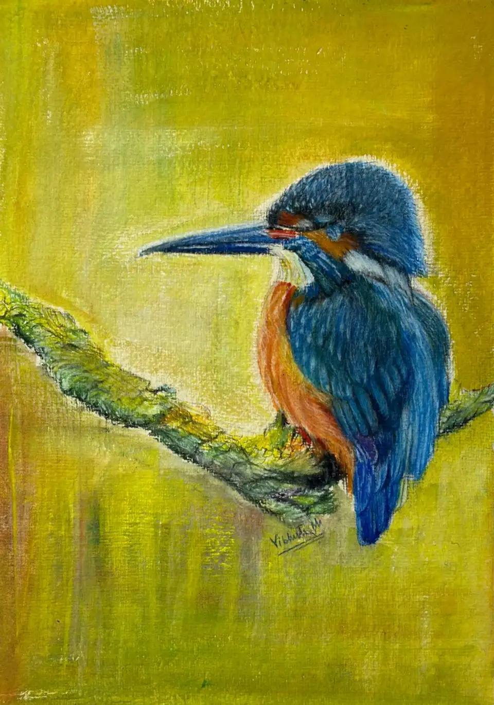 Relaxed Passerine — pastel wildlife study by Vibhuti Mehta